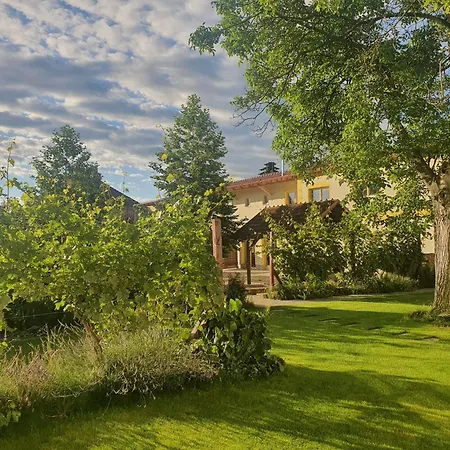 Ve Starem Kine Villa