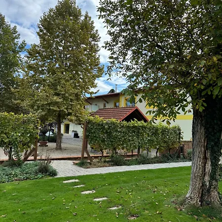 Ve Starem Kine Villa